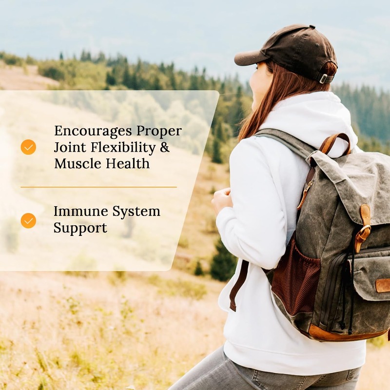 Curcumin 95% Glucosamin enthäl – Turmeric Curcumin Capsule Bewertung und Preis